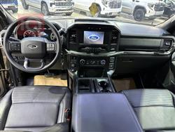 فۆرد F-150